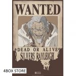 one piece poster wanted rayleighcm
