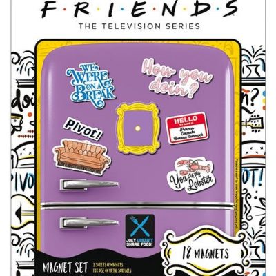 magnites friends magnet set