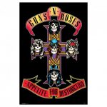 guns and roses