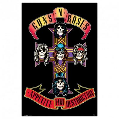 guns and roses
