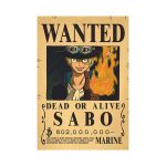 Anime Luffy Gear 5 One Pieces Bounty Wanted Posters 4 Emperors Law Kid Figures Vintage Living.jpg 640x640 (16)