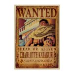 One Piece Wanter Poster Retro Anime Luffy Dead Or Alive Portrai Wall Sticker Home Decoration Accessories.jpg 640x640 (11)