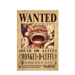 luffy5