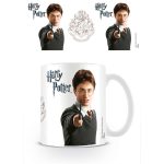 harry potter2