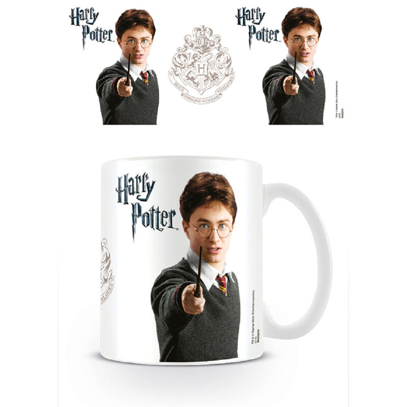harry potter2