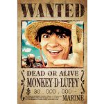 one piece 4