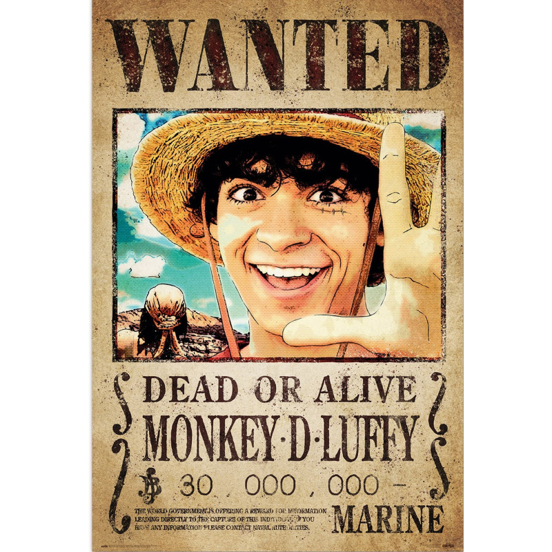 one piece 4